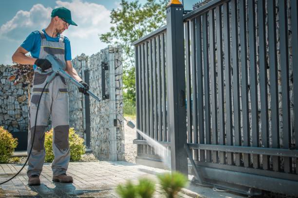 Best Driveway Pressure Washing  in Apopka, FL