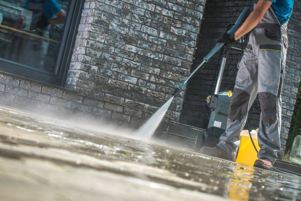 Best Gutter Cleaning  in Apopka, FL